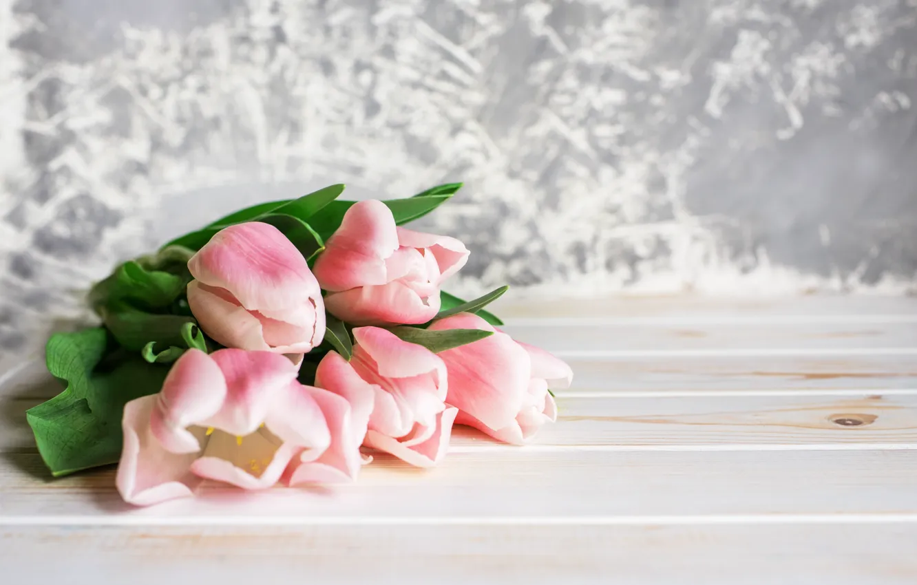 Photo wallpaper bouquet, tulips, gentle, pink