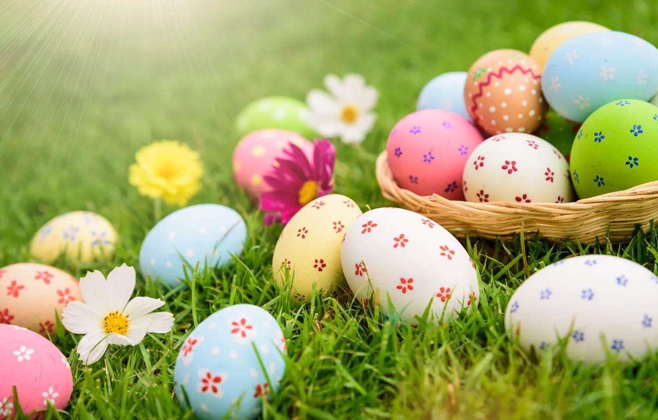 Wallpaper holiday, eggs, spring, Easter, basket images for desktop, section  праздники - download