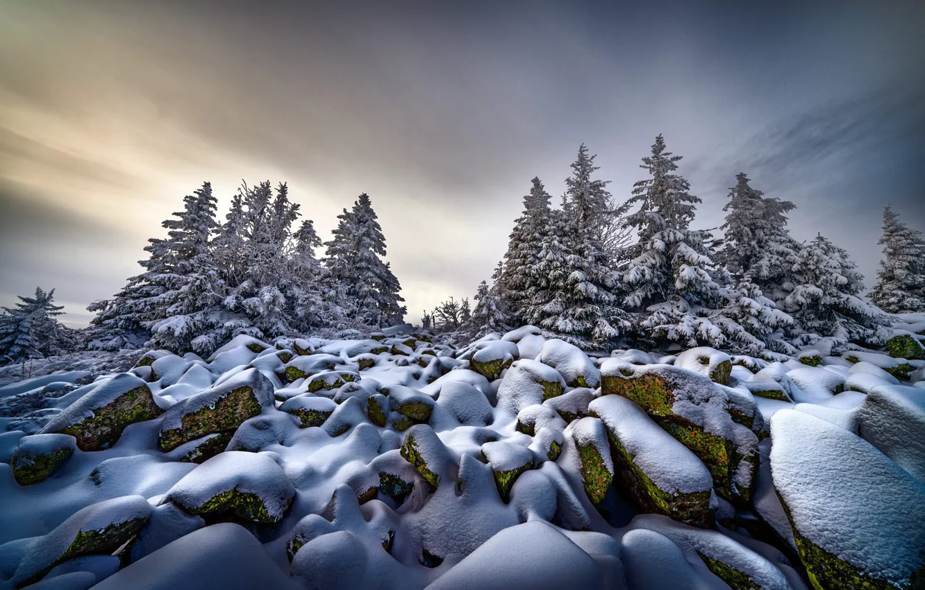 Photo wallpaper winter, snow, trees, nature, stones, ate, Robert Didierjean