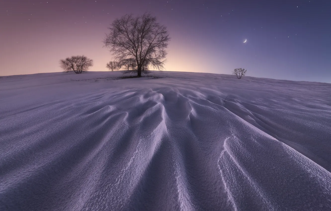 Photo wallpaper winter, stars, snow, tree, The moon, moon, winter, snow, stars, tree, Juan Lopez Ruiz