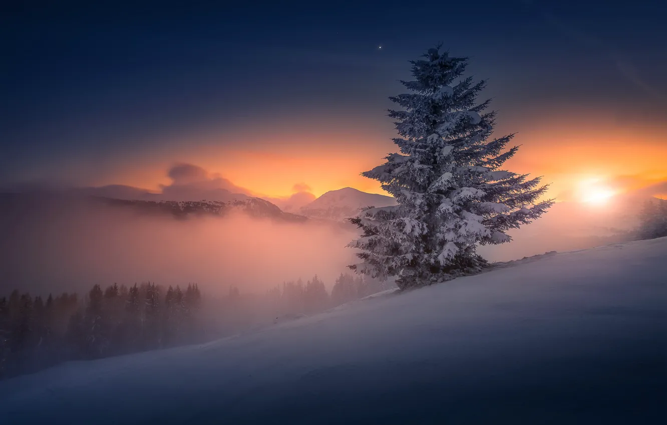 Wallpaper winter, night, nature images for desktop, section природа -  download