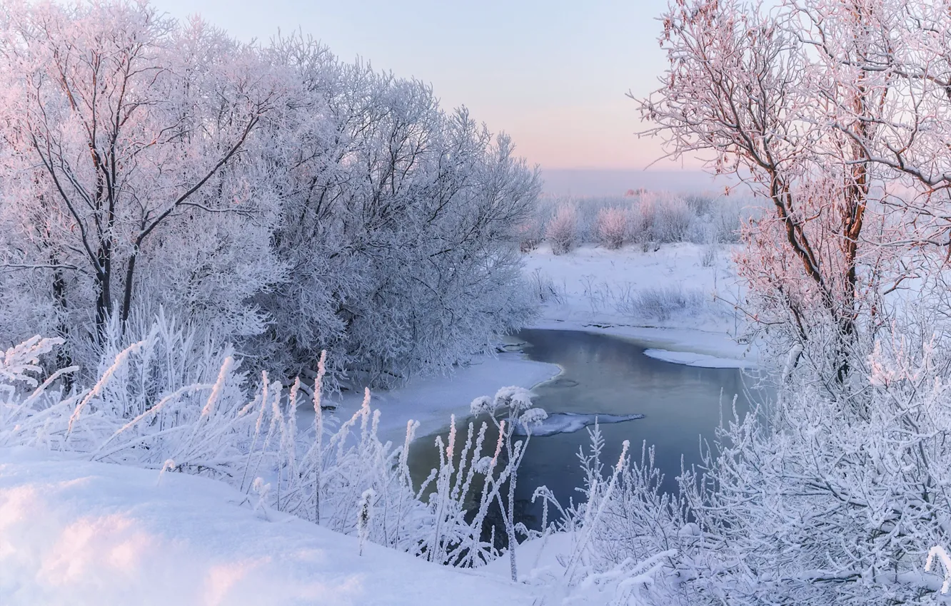 Wallpaper winter, frost, snow, trees, landscape, nature, river, morning ...