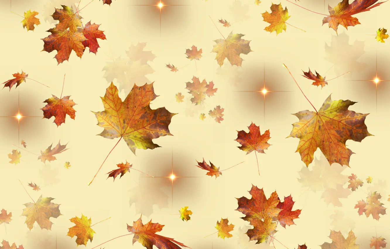 Photo wallpaper golden, autumn, leaves, stars, season, fall