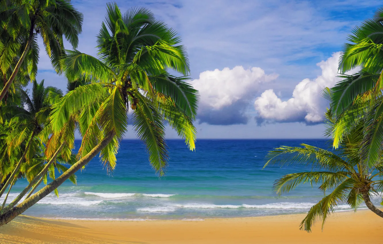 Photo wallpaper sand, beach, the sky, palm trees, the ocean