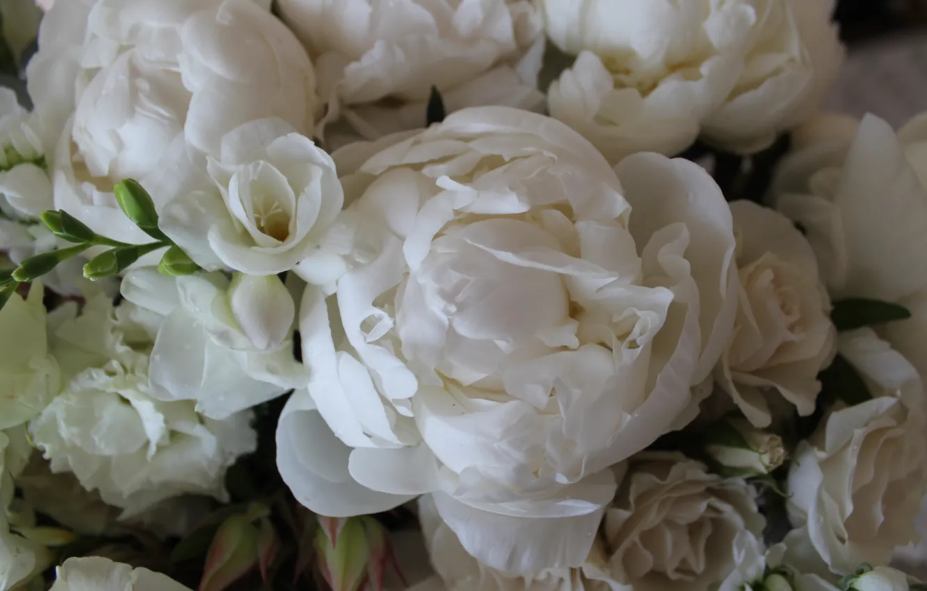 Photo wallpaper white, macro, bouquet, peony, freesia, eucalyptus, spray roses