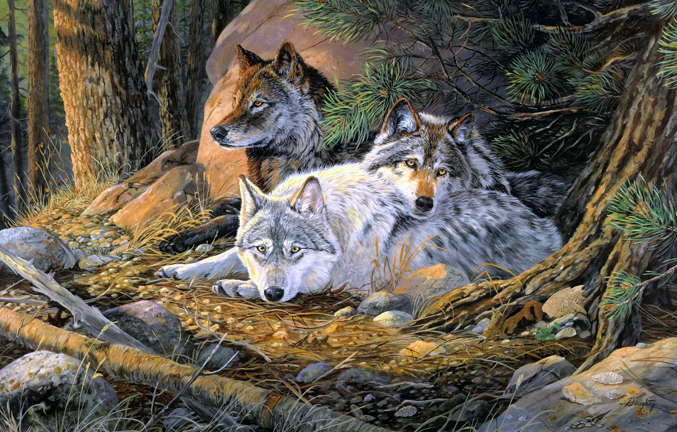 Wallpaper forest, look, branches, figure, picture, art, three, wolves ...