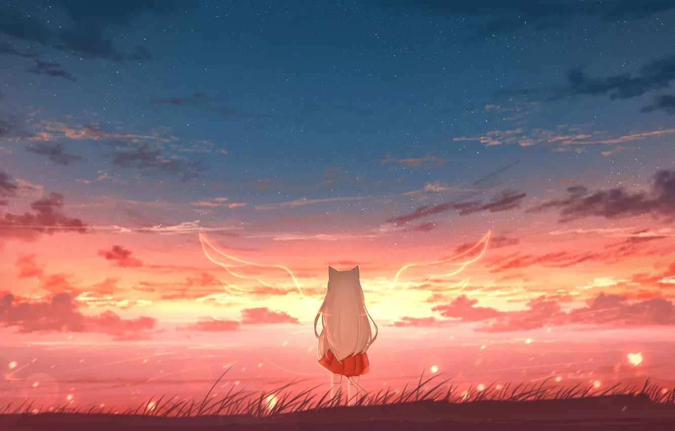 Wallpaper cat, the sky, water, girl, sunset images for desktop, section ...