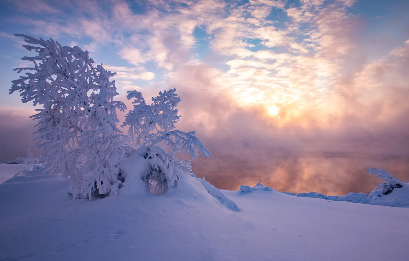 Photo wallpaper winter, snow, tree, morning, frost, the snow, Russia, frosty morning, Pechora, Pechora reservoir, The Republic …
