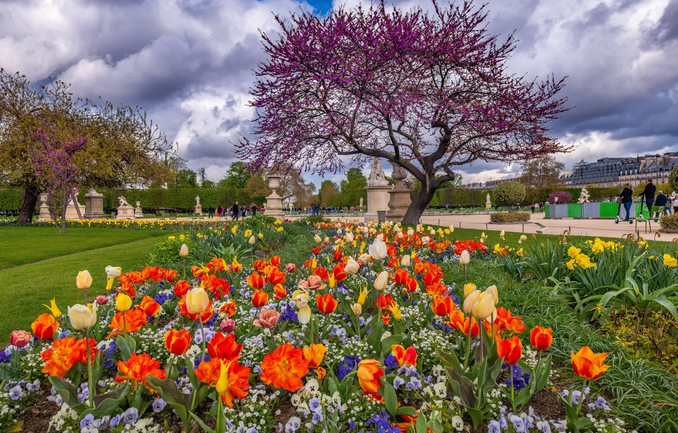 Photo wallpaper France, Paris, spring, tulips, Elysian Fields