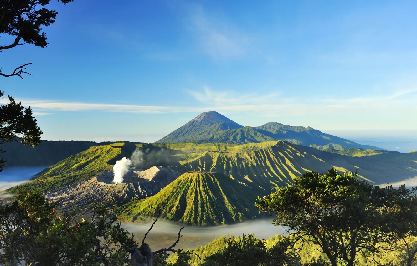 Photo wallpaper the sky, the sun, trees, mountains, branches, fog, valley, Indonesia, volcanoes, Mount Bromo, Surabaya