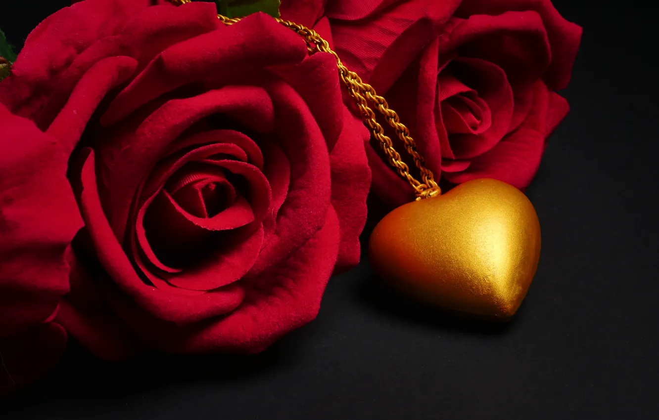 Wallpaper flowers, heart, rose, pendant, red, love, black background, red,  heart, flowers, romantic, roses images for desktop, section цветы - download