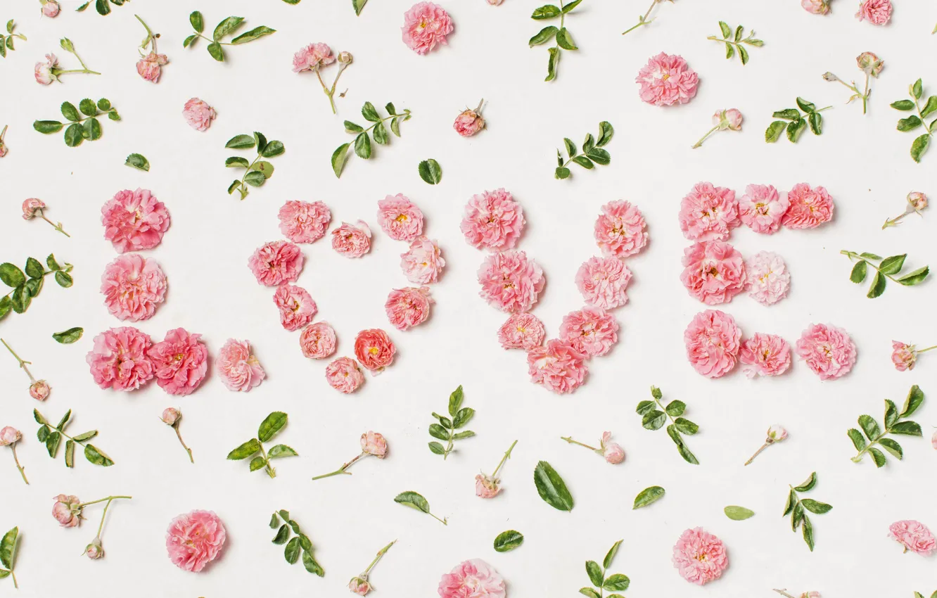 Photo wallpaper love, flowers, heart, petals, love, heart, pink, flowers, beautiful, romantic, valentine, petals, floral
