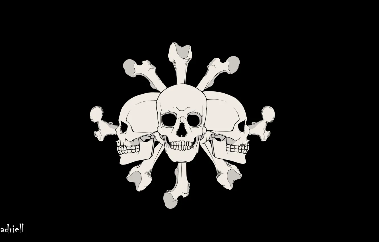 Wallpaper Bones Skull One Piece Black Background Images For Desktop Section Syonen Download