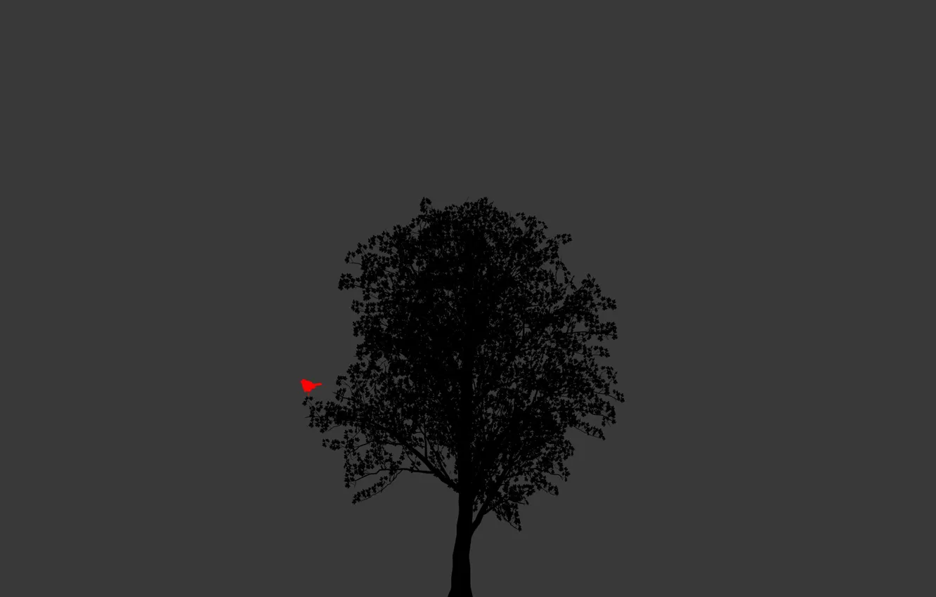 Photo wallpaper tree, bird, black background, minimalism Wallpaper