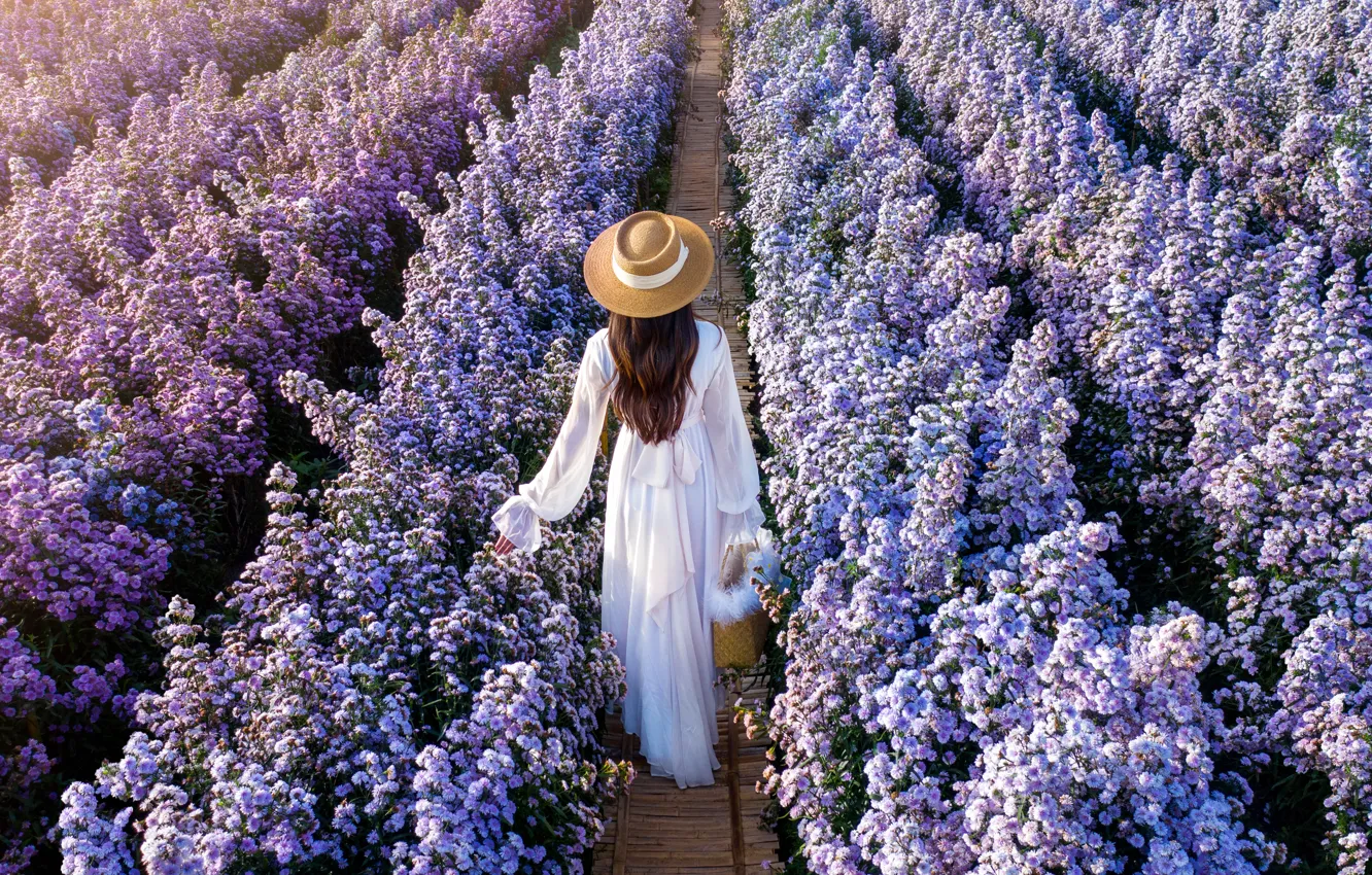 Photo wallpaper field, girl, flowers, dress, girl, white, dress, field, flowers, Daisy, margaret