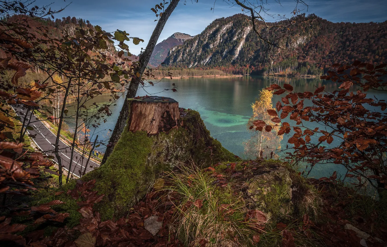 Photo wallpaper road, autumn, trees, landscape, mountains, nature, lake, stump, Austria, Almsee, Else