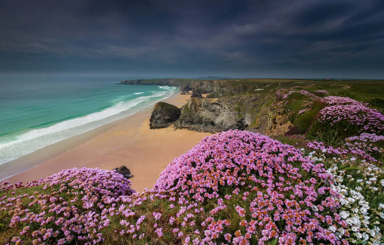 Photo wallpaper sea, flowers, rocks, coast, England, England, Cornwall, Cornwall, Bedruthan Steps, Celtic sea, Celtic Sea, Seaside …