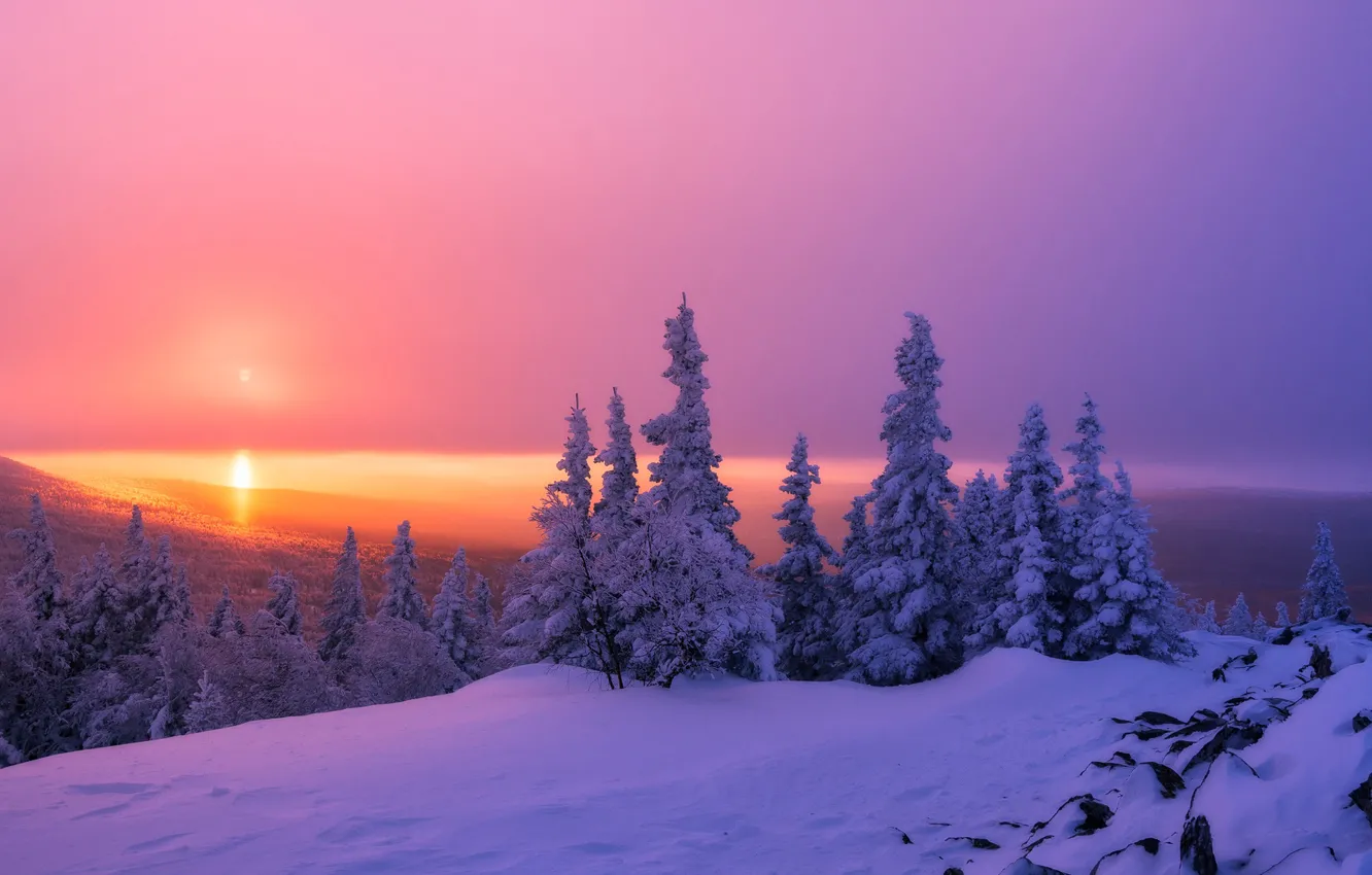 Photo wallpaper winter, forest, snow, sunset, ate, Russia, Ural, Chelyabinsk oblast, The Ridge Urenga