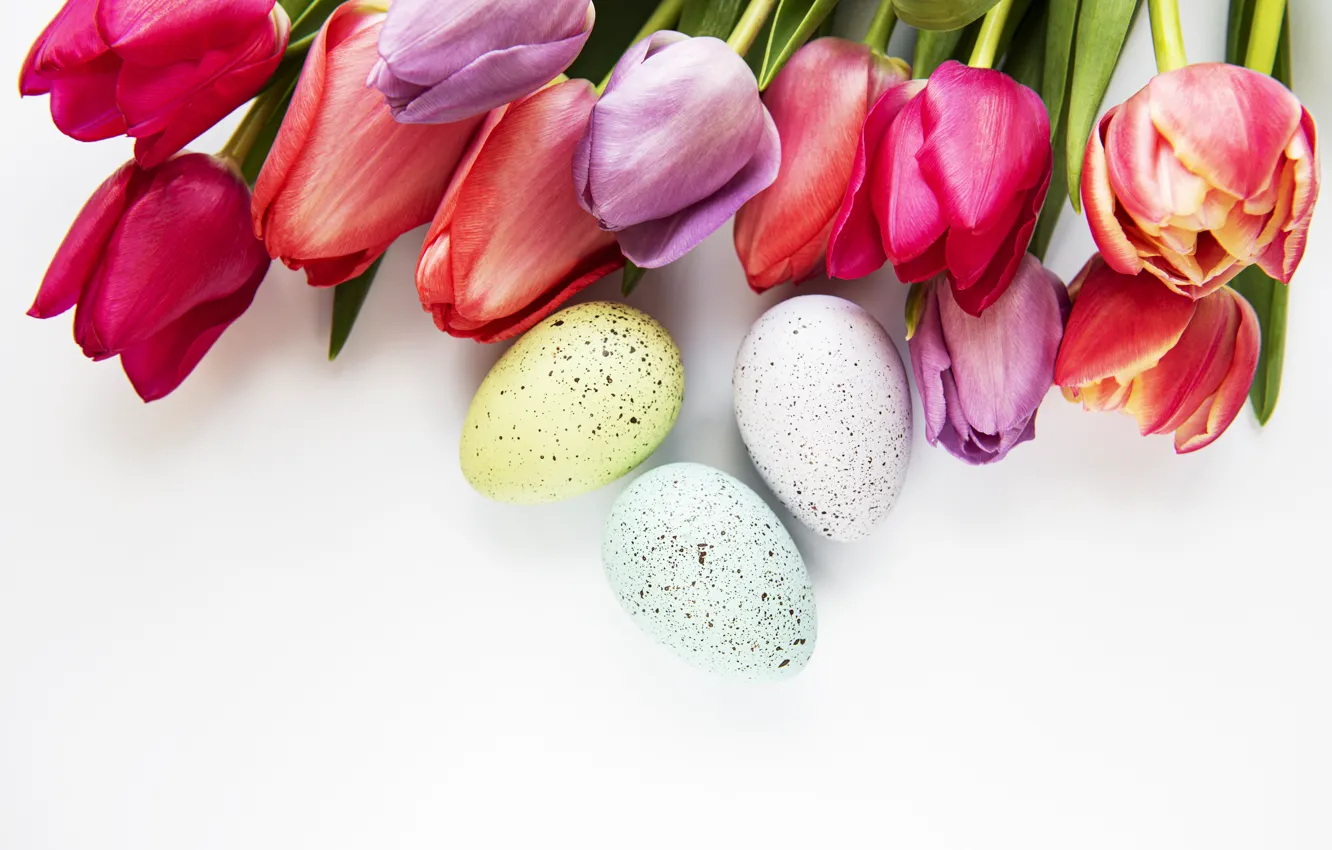 Photo wallpaper flowers, eggs, spring, colorful, Easter, tulips, happy, pink, flowers, tulips, spring, Easter, eggs, decoration